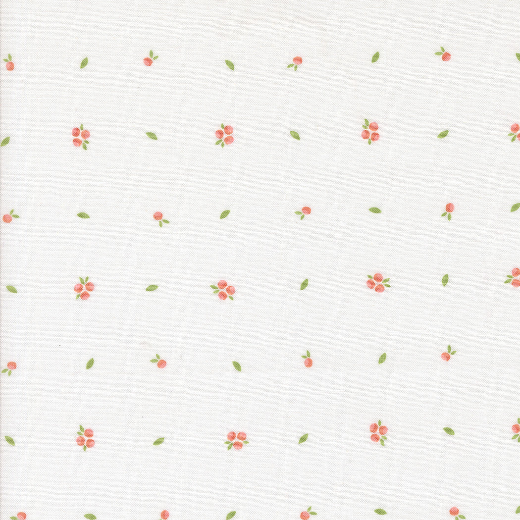 Abloom Little Sprout Cloud Yardage by Corey Yoder for Moda Fabrics | 29216 11