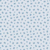 Twilight Creatures Raccoons Ice Yardage by Natàlia Juan Abelló for Riley Blake Designs | C15364-ICE