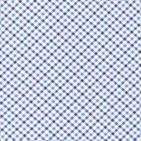 Star Spangled Simple Check Dawn Yardage by April Rosenthal of Prairie Grass for Moda Fabrics | 24175 12