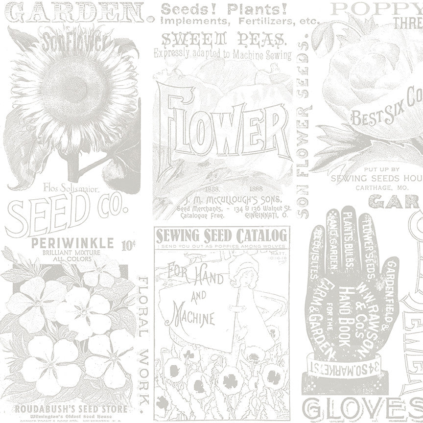 Wide Back Sewing Seeds III Garden Blender Gray by J. Wecker Frisch for Riley Blake Designs | 108" Wide Backing Fabric | WB15696-GRAY