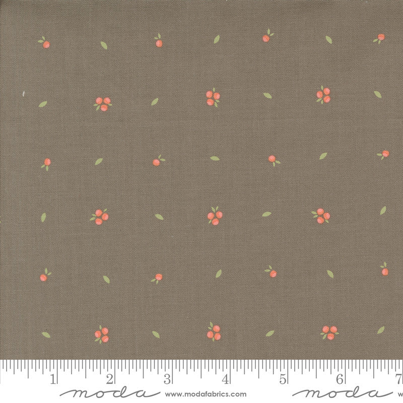 Abloom Little Sprout Slate Yardage by Corey Yoder for Moda Fabrics | 29216 19