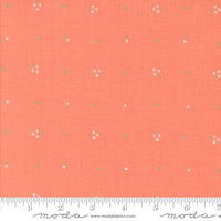 Abloom Little Sprout Coral Yardage by Corey Yoder for Moda Fabrics | 29216 12