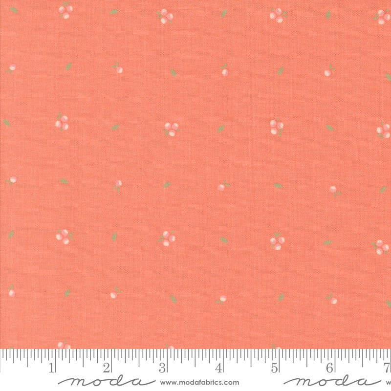 Abloom Little Sprout Coral Yardage by Corey Yoder for Moda Fabrics | 29216 12