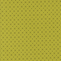 Color Crush X and O Lime Yardage by V and Co. for Moda Fabrics | 10887 19