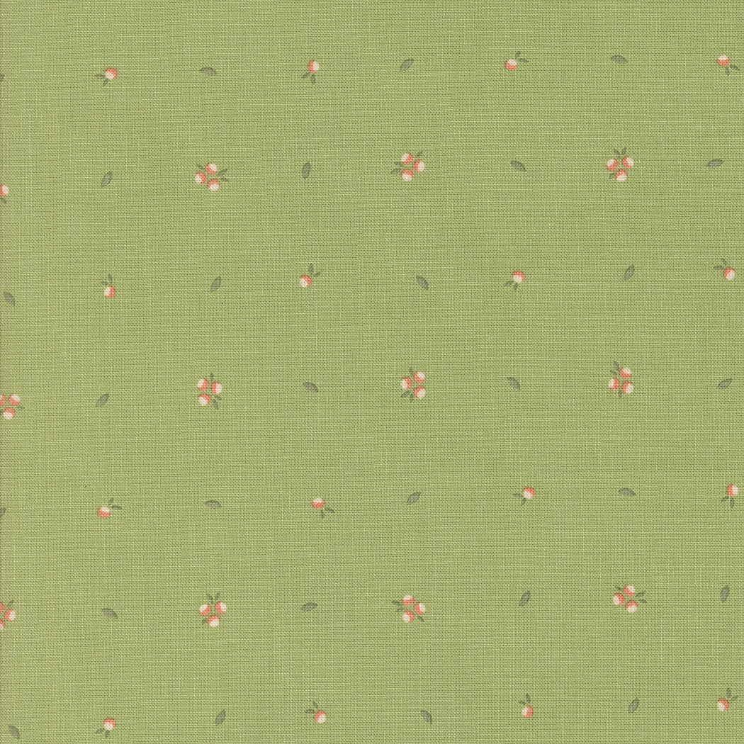 Abloom Little Sprout Cucumber Yardage by Corey Yoder for Moda Fabrics | 29216 17