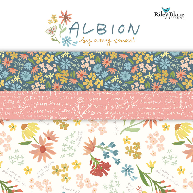 Albion 10" Stacker by Amy Smart for Riley Blake Designs | 10-14590-42 Precut Fabric Bundle