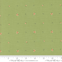 Abloom Little Sprout Cucumber Yardage by Corey Yoder for Moda Fabrics | 29216 17