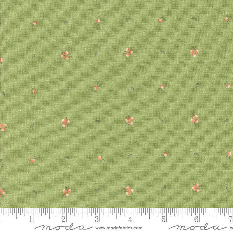 Abloom Little Sprout Cucumber Yardage by Corey Yoder for Moda Fabrics | 29216 17