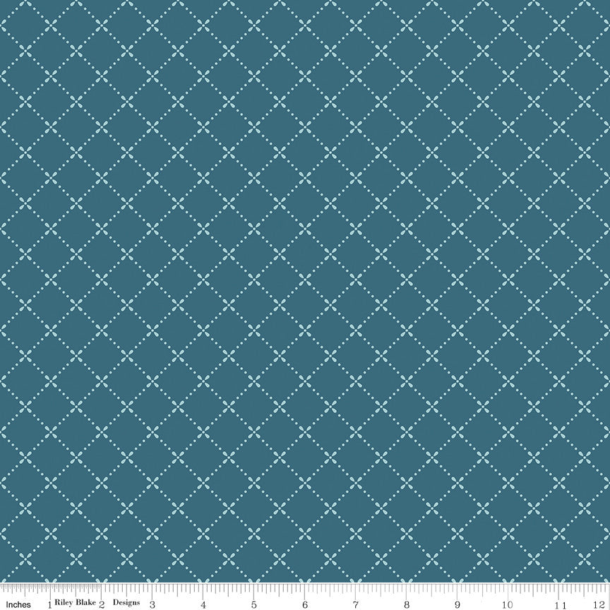Mary Catherine Grid Stargazer Yardage by Amy Smart for Riley Blake Designs | C16704-STARGAZER
