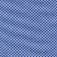 Star Spangled Simple Check Shining Sea Yardage by April Rosenthal of Prairie Grass for Moda Fabrics | 24175 13