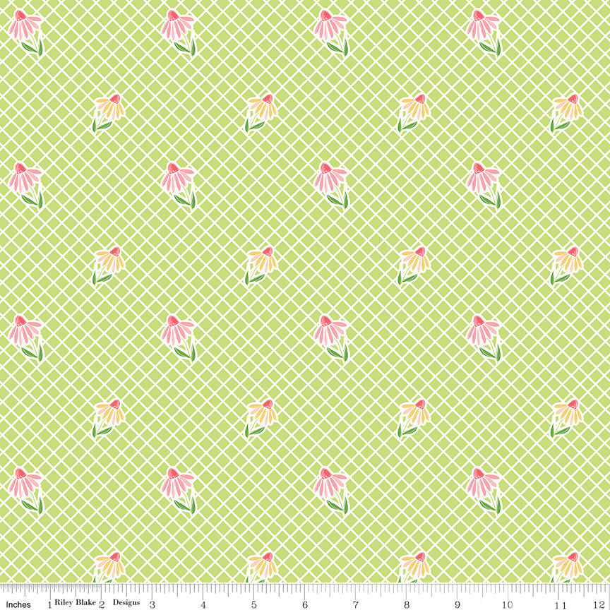 Summer Skies and Fireflies Cone Flowers Lime Yardage by Gracey Larson for Riley Blake Designs | C16372-LIME