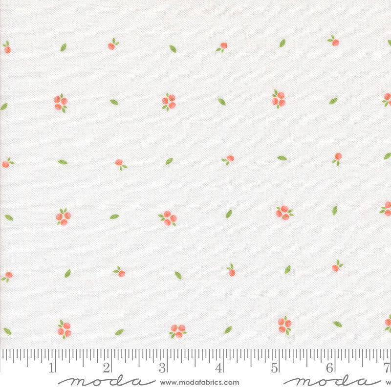 Abloom Little Sprout Cloud Yardage by Corey Yoder for Moda Fabrics | 29216 11
