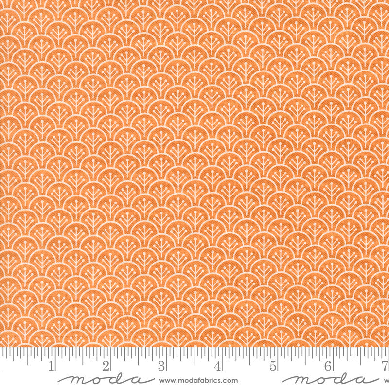 Agatha Road Pumpkin Yardage by Fig Tree & Co for Moda Fabrics | 35415 12