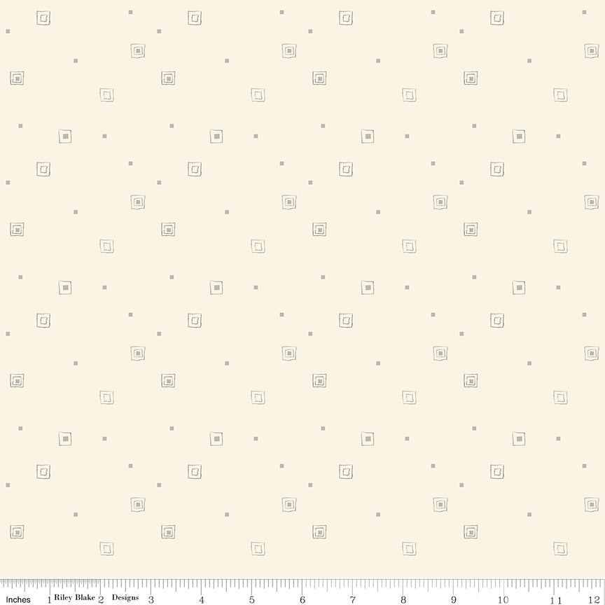 Hush Hush 5 All Boxed In Yardage by Sandy Gervais for Riley Blake Designs | C16955-BOXED