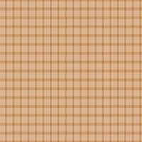 Gentler Times Whippersnapper Cider Yardage by Lori Holt of Bee in My Bonnet For Riley Blake Designs | C16488-CIDER