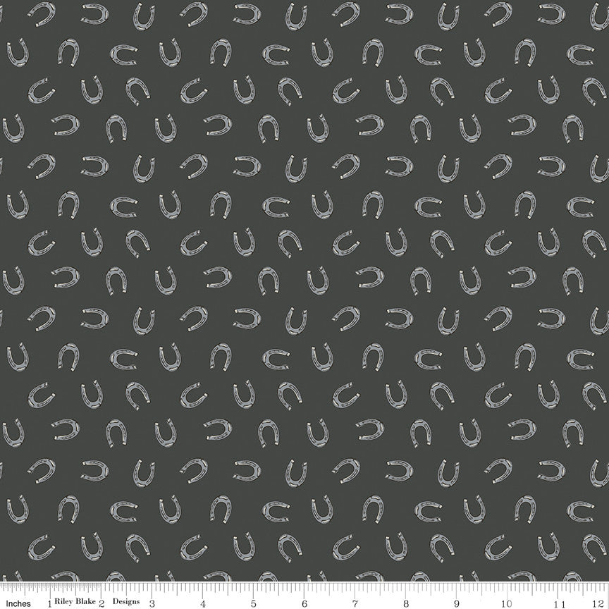 Cowboys Horseshoes Graphite by Echo Park Paper Co. for Riley Blake Designs | C15497-GRAPHITE