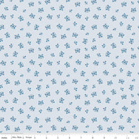 Twilight Creatures Raccoons Ice Yardage by Natàlia Juan Abelló for Riley Blake Designs | C15364-ICE