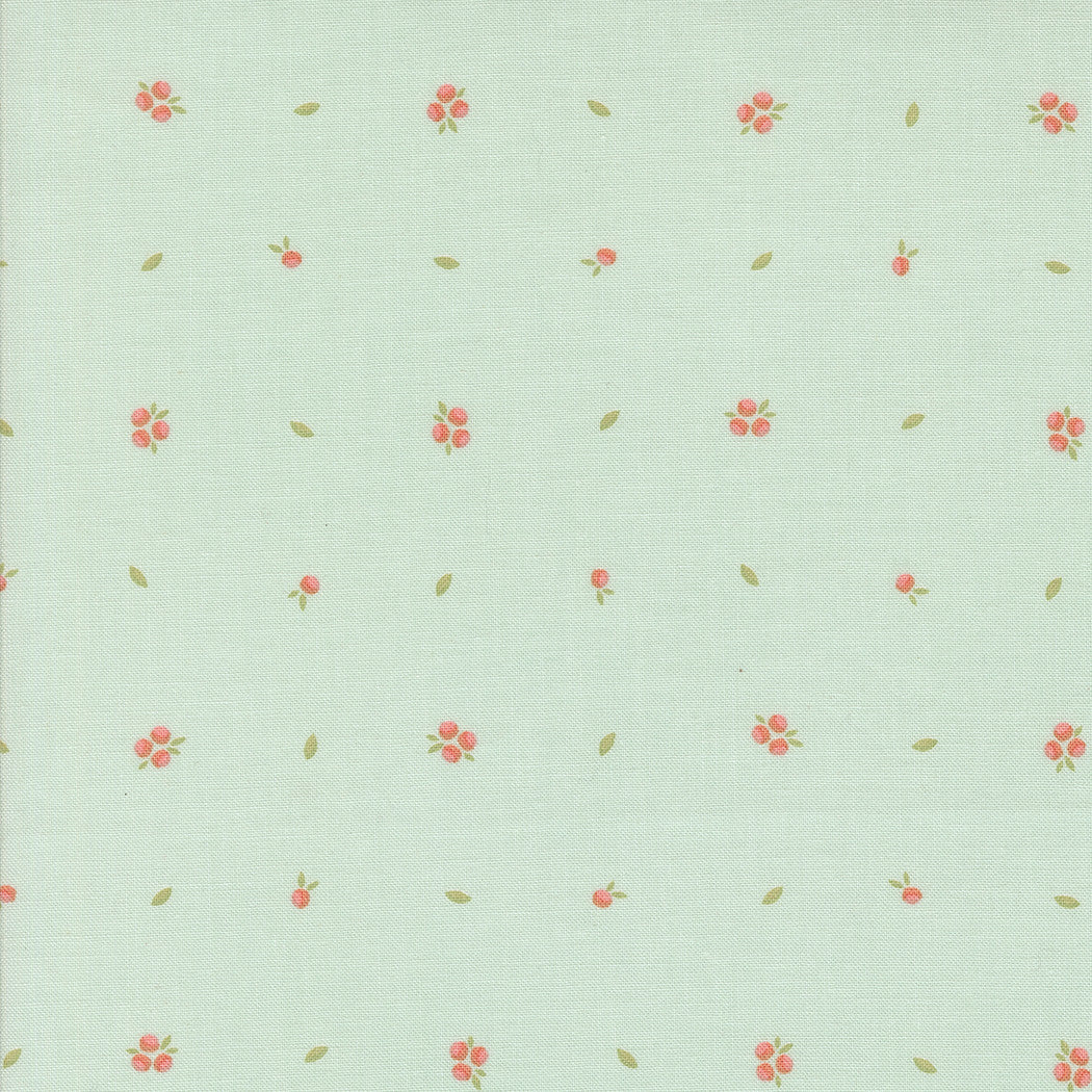 Abloom Little Sprout Robins Egg Yardage by Corey Yoder for Moda Fabrics | 29216 18