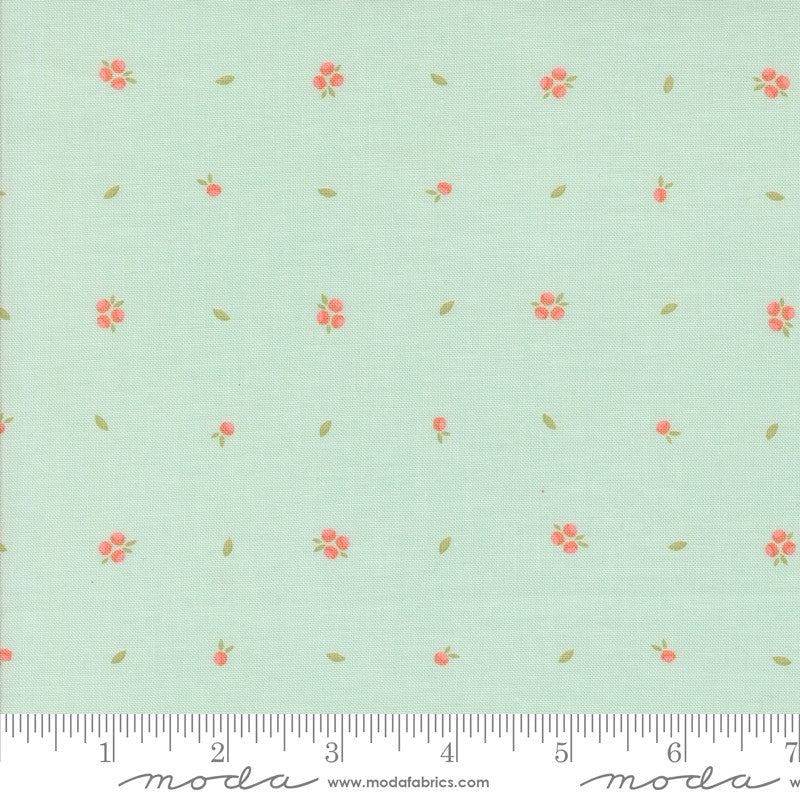 Abloom Little Sprout Robins Egg Yardage by Corey Yoder for Moda Fabrics | 29216 18