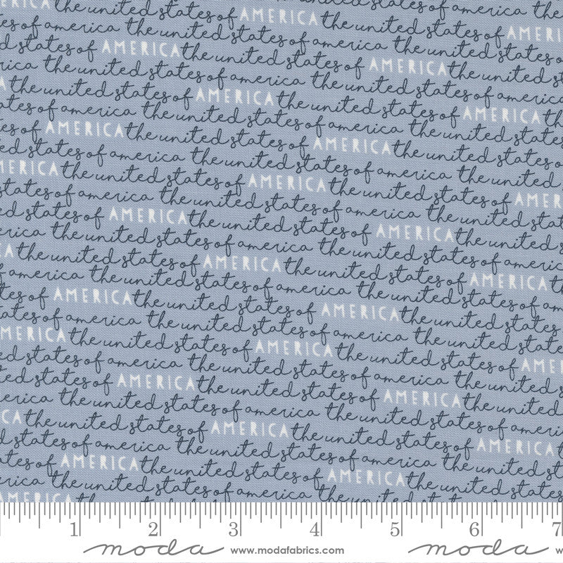 Stateside Sky America Yardage by Sweetwater for Moda Fabrics | 55613 22 | 1/3 Yard Remnant