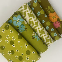 Happy Daze Custom Fat Quarter Bundle Green by Chloe’s Closet for Moda Fabrics | 5 FQs | Curated Bundle