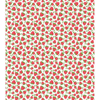 Baby Minky Blanket Strawberry Fields Minky Blanket by Dreamy Blankets  | Premium Soft Minky Blanket | Baby Blanket Size 32" x 36"