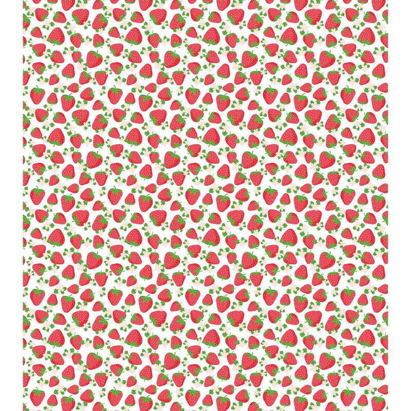 Strawberry Baby Minky Blanket  by Dreamy Blankets  | Strawberry Fields | Premium Soft Minky Blanket | Baby Blanket Size 32" x 36"