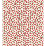 Baby Minky Blanket Strawberry Fields Minky Blanket by Dreamy Blankets  | Premium Soft Minky Blanket | Baby Blanket Size 32" x 36"