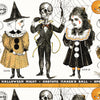 Costume Maker's Act II Costume Border Stripe White Yardage by J. Wecker Frisch for Riley Blake Designs | CD16004-WHITE