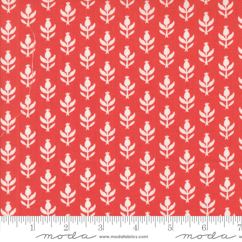 PRESALE Buon Natale Christmas Thistle Poinsettia Yardage by Fig Tree & Co for Moda Fabrics | 35403 13