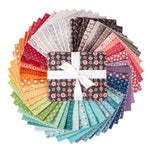Bee Dots Fat Quarter Bundle by Lori Holt for Riley Blake Designs | 50 SKUs | In Stock Shipping Now
