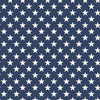 Freedom Garden Stars Blue Yardage by My Mind's Eye for Riley Blake Designs | C15622-BLUE