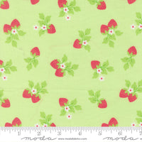 Fruit Salad Strawberries Melon Yardage by Corey Yoder for Moda Fabrics | 29243 20