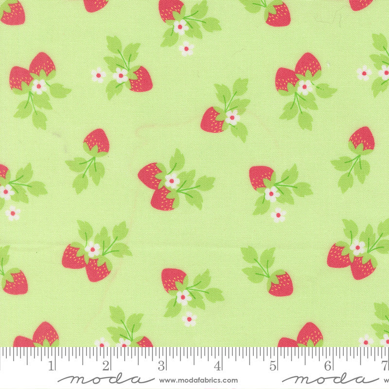 Fruit Salad Strawberries Melon Yardage by Corey Yoder for Moda Fabrics | 29243 20