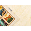 Minky Blanket America's National Parks by Dreamy Blankets for Riley Blake Designs | 100% Minky Polyester