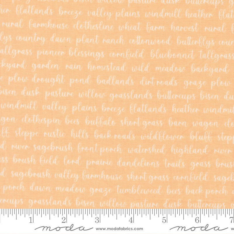 Pastel Prairie Words Apricot Yardage by My Sew Quilty Life for Moda Fabrics | 31784 19