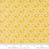PRESALE Popcorn Popcorn Flowers Orange Yardage by Elizabeth Hartman for Moda Fabrics | 51282 25