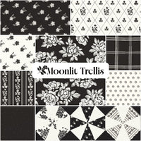 PRESALE Moonlit Trellis 10" Stacker by My Mind’s Eye for Riley Blake Designs | 42 Pcs | 10-18210-42