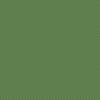 American Jane Pindots Pine by American Jane for Riley Blake Designs | C840-PINE