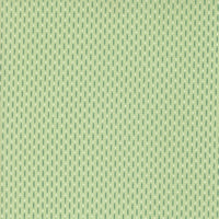 Raspberry Summer Beaded Mint Yardage by Sherri & Chelsi for Moda Fabrics | 37696 25