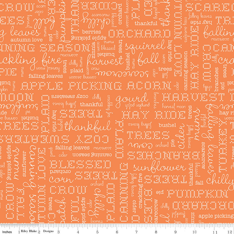 Autumn Pumpkin Words Yardage by Lori Holt for Riley Blake Designs | C14667 PUMPKIN Autumn Fabric