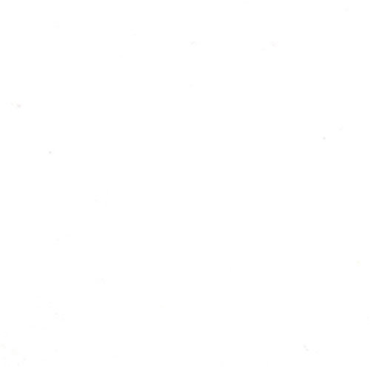 Bella Solids Off White Yardage by Moda Fabrics | High Quality Quilting Weight Cotton | 9900 200