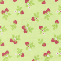 Fruit Salad Strawberries Melon Yardage by Corey Yoder for Moda Fabrics | 29243 20