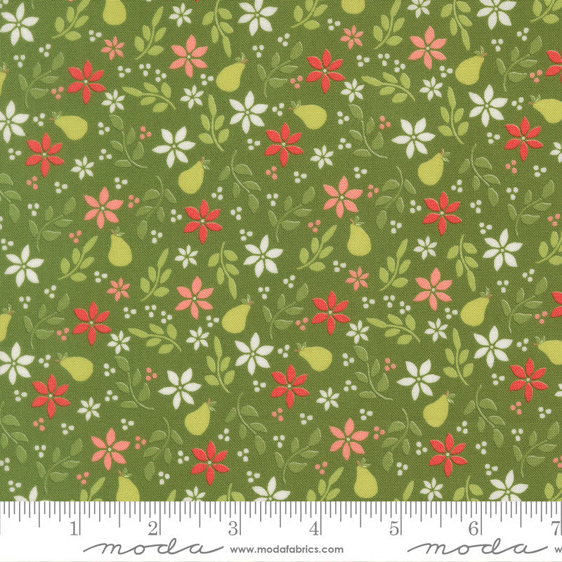 PRESALE Poinsettia and Pear Pear Evergreen Yardage by Sherri & Chelsi for Moda Fabrics | 37711 14