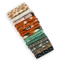 Halloween Fat Quarter Bundle | Frank and Friends by My Mind's Eye for Riley Blake Designs | 17 Fat Quarters | Curated Bundle
