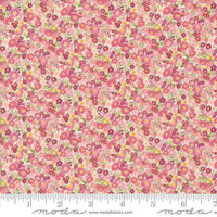 Chelsea Garden Cameo Galavanting Garden Yardage by Moda Fabrics | 33746 14