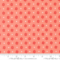 PRESALE Poinsettia and Pear Daisy Dot Carnation Yardage by Sherri & Chelsi for Moda Fabrics | 37713 15