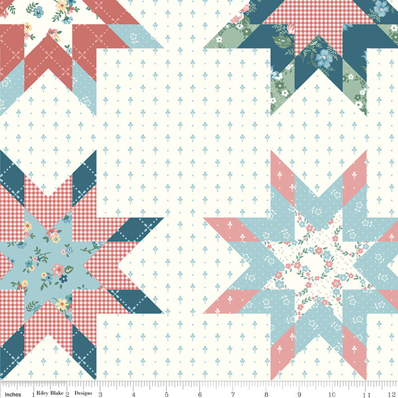 Mary Catherine Star Cheater Print Multi Yardage by Amy Smart for Riley Blake Designs | C16709-MULTI