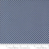 PRESALE Raspberry Summer Gingham Blueberry Yardage by Sherri & Chelsi for Moda Fabrics | 37697 20