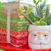 PRESALE Buon Natale Fat Quarter Bundle by Fig Tree Co for Moda Fabrics | 31 Precut Fat Quarters | 35400AB